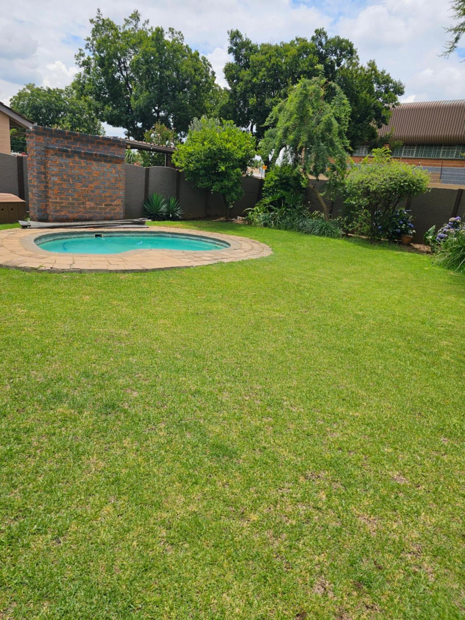 Grey Heron Boksburg Kültér fotó